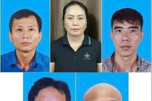 Hơn 130 tấn thịt lợn dương tính với virus dịch Tả lợn Châu Phi