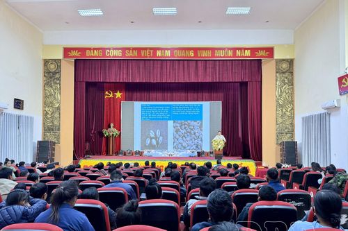 150 học viên tập huấn kỹ thuật ươm giống và trồng cà phê