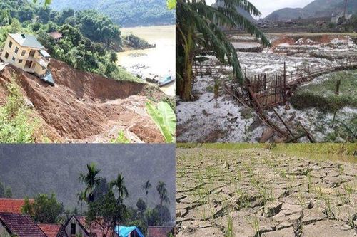 Kiểm toán để ứng phó với rủi ro và thảm họa