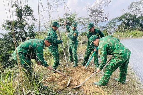Trồng mới 4.800 cây xanh tại xã biên giới Tùng Vài, Tuyên Quang