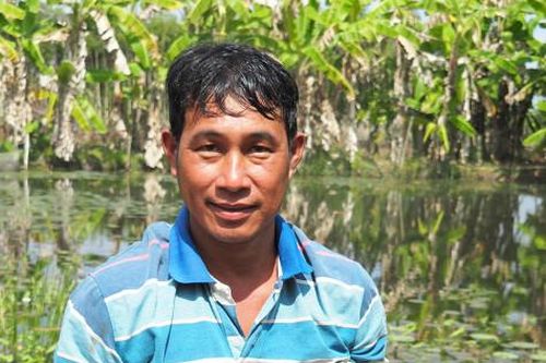 Hiệu quả mô hình nuôi ốc bươu đen