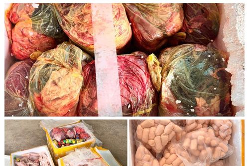 Tiêu hủy 384kg thực phẩm không rõ nguồn gốc