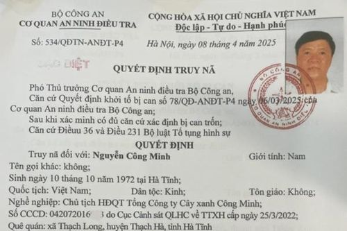 Đề nghị truy tố 35 bị can trong vụ án liên quan đến Công ty cây xanh Công Minh