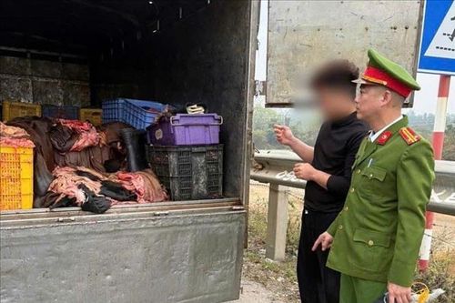 Phú Thọ: Phát hiện ô tô chở 1,2 tấn sản phẩm động vật không bảo đảm vệ sinh thú y