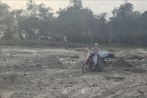Ruộng đồng Gò Nổi (Đà Nẵng) chưa thoát cảnh cát bồi lấp