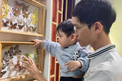 Bảo tàng Thiên nhiên duyên hải miền Trung: Gắn trưng bày với nghiên cứu khoa học