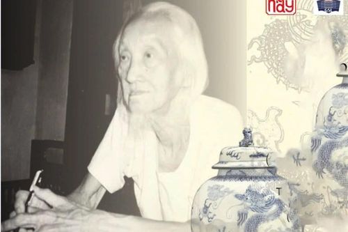 'Trăm năm sử Việt' - tọa đàm về học giả Vương Hồng Sển