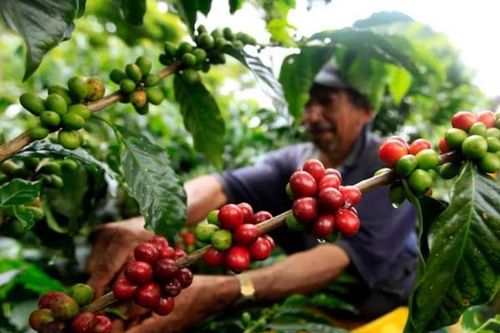 Ecuador áp thuế 30% với Colombia vì không ngăn chặn buôn bán ma túy