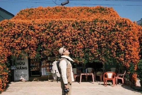 Mái nhà cam rực hoa chùm ớt hút khách check-in giữa cao nguyên Di Linh