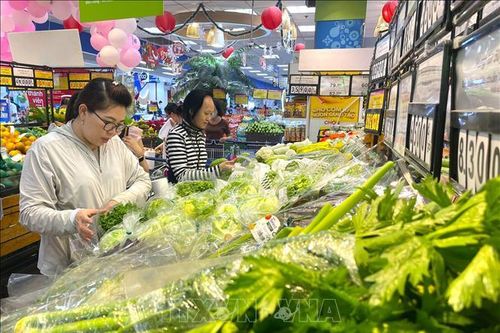 Đẩy nhanh 'Tick xanh trách nhiệm' với hàng hóa Tết