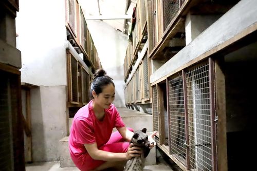 Toàn tỉnh có 329 cơ sở gây nuôi động vật rừng