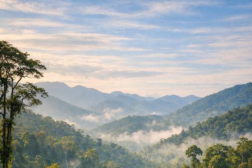 Nghệ An giữ 'kho gen' bản địa, mở đường cho sản phẩm đặc hữu