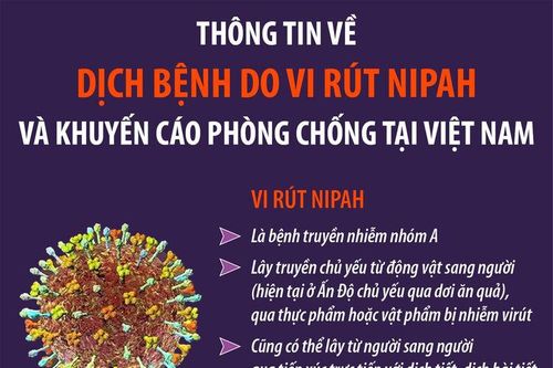 UBND tỉnh An Giang chỉ đạo chủ động phòng, chống bệnh do virus Nipah