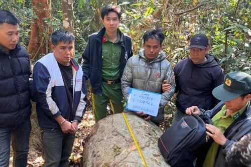 Truy bắt nhóm đối tượng khai thác gỗ lậu lúc nửa đêm