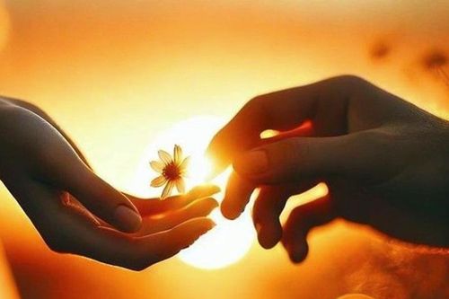 Đi qua bóng tối mà không đánh mất mình