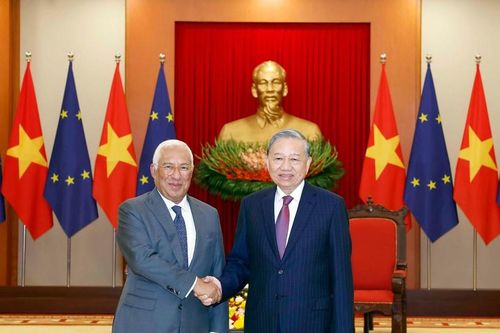 EU mong muốn tăng cường hợp tác phát triển hạ tầng giao thông với Việt Nam