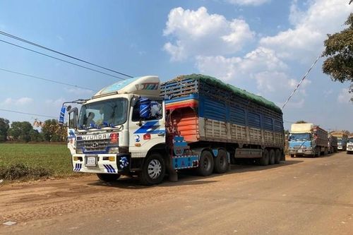 Chính phủ tạm ngưng áp dụng Nghị định 46