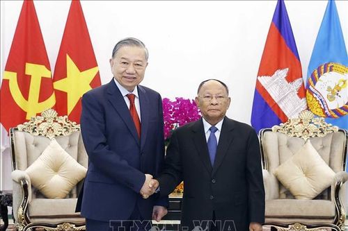 Tổng Bí thư Tô Lâm hội kiến Chủ tịch danh dự Đảng Nhân dân Campuchia Heng Samrin