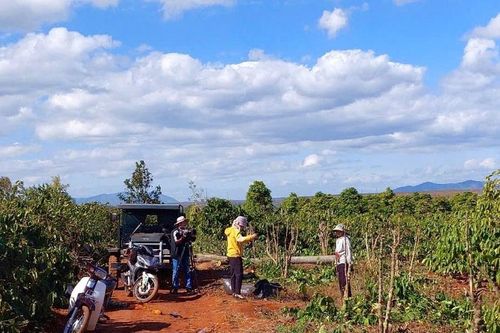 Gia Lai: Khẩn trương chi trả bồi thường, giải phóng mặt bằng Dự án cao tốc Quy Nhơn - Pleiku