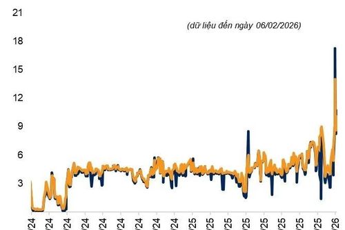 VNDIRECT Research: Nhà đầu tư không nên phản ứng quá mức trước 'cú sốc' thanh khoản ngắn hạn