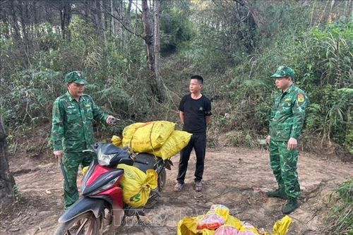 Bắt đối tượng vận chuyển trái phép thực phẩm nhập lậu