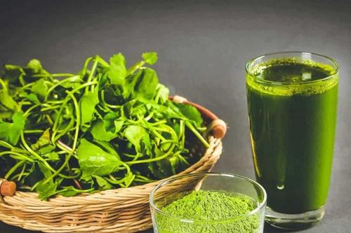 Đồ uống thanh mát ngày Tết