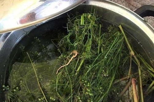 Nghi thức 'tẩy trần' chiều cuối năm của người Việt