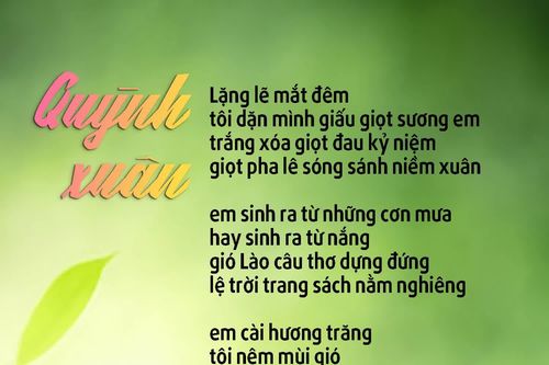 Quỳnh xuân
