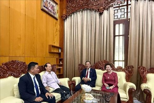 Kết nối cộng đồng, 'truyền lửa' cho thế hệ trẻ kiều bào tại Lào