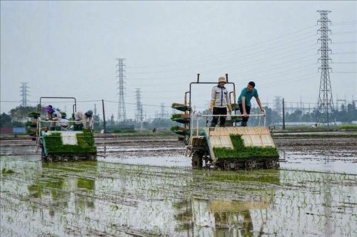 Nông dân tranh thủ thời tiết thuận lợi ra đồng sản xuất đầu Xuân