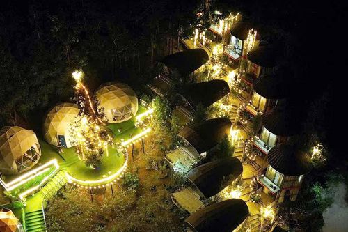 Hỗ trợ phát triển du lịch, dịch vụ