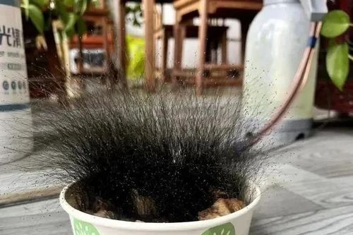 Để quên bát cơm khi nghỉ Tết, người đàn ông sốc nặng khi đi làm trở lại