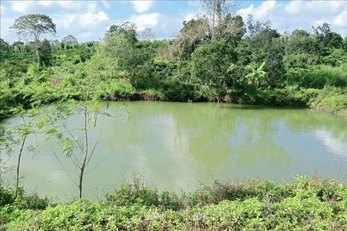 Hai học sinh tử vong do đuối nước tại Đắk Lắk