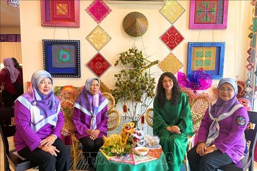 Những nhịp cầu văn hóa kết nối tình hữu nghị Việt Nam - Brunei
