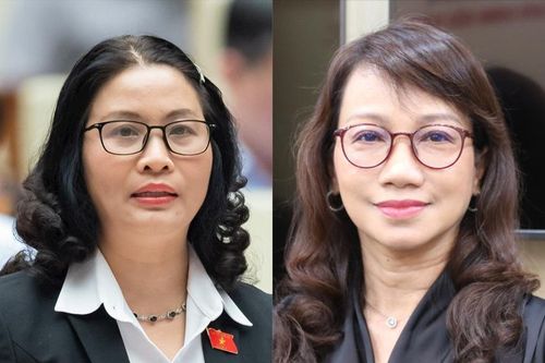 2 nữ giáo sư ngành giáo dục ứng cử đại biểu Quốc hội khóa XVI