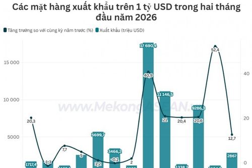 Việt Nam nhập siêu gần 3 tỷ USD trong hai tháng đầu năm 2026