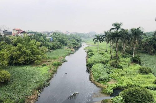 Sẽ trình Chính phủ đề án hồi sinh sông Nhuệ - Đáy, Bắc Hưng Hải trong tháng 6