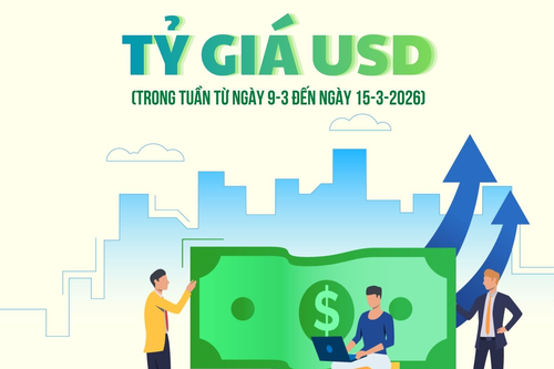 Tỷ giá USD/VND tại thị trường Việt Nam trong tuần qua