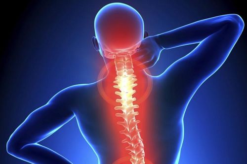 Dùng thuốc trị giảm đau thoái hóa cột sống ở người cao tuổi