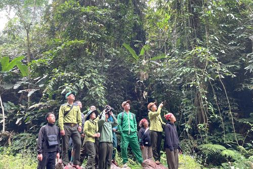 Phát huy vai trò của chính quyền cơ sở trong quản lý bảo vệ rừng
