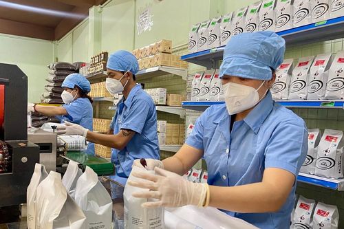 Doanh nghiệp nông sản cải thiện năng suất nhờ Chương trình 1322