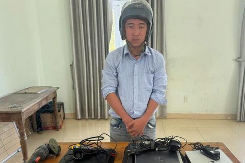 Đạo chích sa lưới