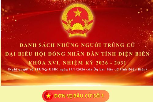 Danh sách người trúng cử đại biểu HĐND tỉnh khóa XVI, nhiệm kỳ 2026 - 2031