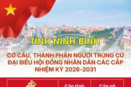 Ninh Bình: Cơ cấu, thành phần người trúng cử đại biểu HĐND các cấp, nhiệm kỳ 2026-2031