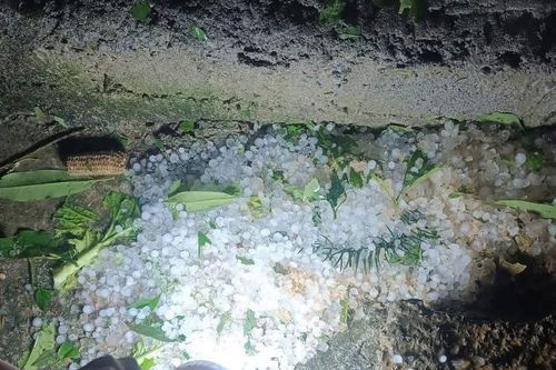 Mưa đá trong đêm gây thiệt hại tại nhiều xã vùng cao Tuyên Quang