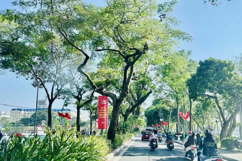 Quy hoạch Hà Nội phải giải quyết triệt để vấn đề môi trường
