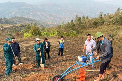Nậm Kè ra quân đào hố trồng cà phê