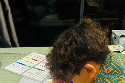 Học sinh Vinschool hoàn thành bức tranh 'Ngôi nhà mơ ước' trong 4 ngày, nộp bài sớm nhất trường
