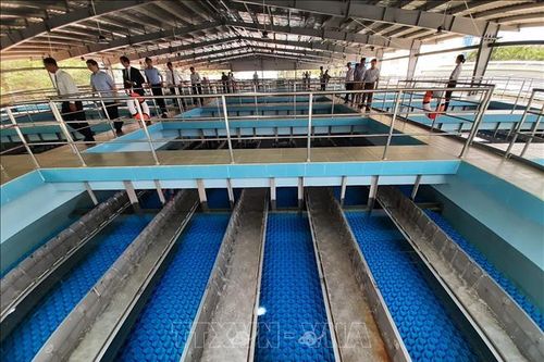 TP Hồ Chí Minh: Nhà máy nước bảo trì, ngừng cấp nước tạm thời nhiều khu vực