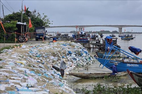 Sạt lở sông Thu Bồn: Kiến nghị ban hành lệnh xây dựng công trình khẩn cấp